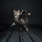Jouet interactif pour chat – Cat Dancer Deluxe – Image 2