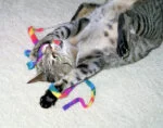 Jouet interactif pour chat – Cat Dancer Cat Charmer – Image 2