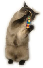 Jouets pour chat, lot de 2 – Cat Dancer Ring Tail Chasers – Image 2
