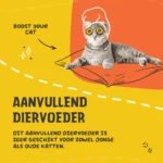 Poudre de lysine pour chats avec vitamine B6, 100 g – Excellent Pets L-Lysine – Image 3