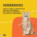 Poudre de lysine pour chats avec vitamine B6, 100 g – Excellent Pets L-Lysine – Image 2