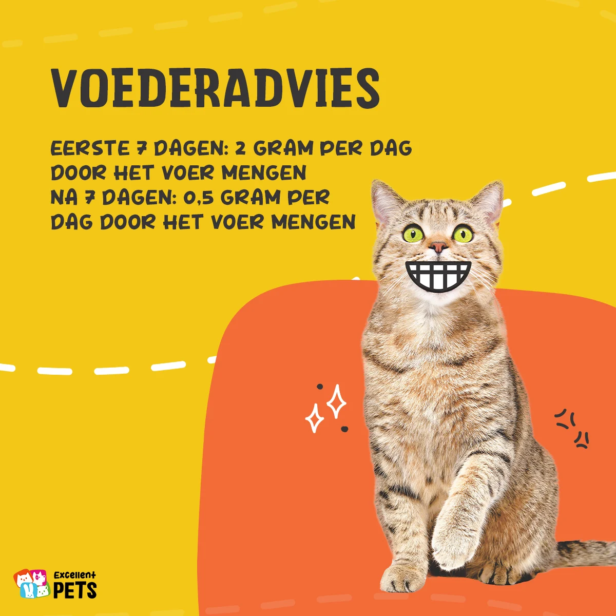 Poudre de lysine pour chats avec vitamine B6, 100 g – Excellent Pets L-Lysine – Image 2