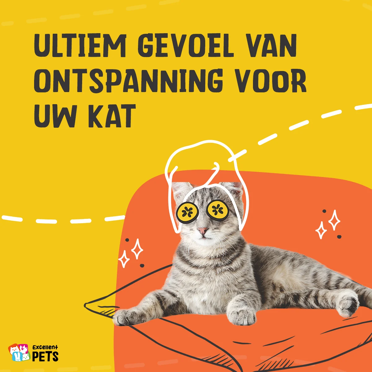 Spray à l’herbe à chat pour jouets et paniers de transport, 150 ml – Excellent Pets Catnip Spray – Image 4