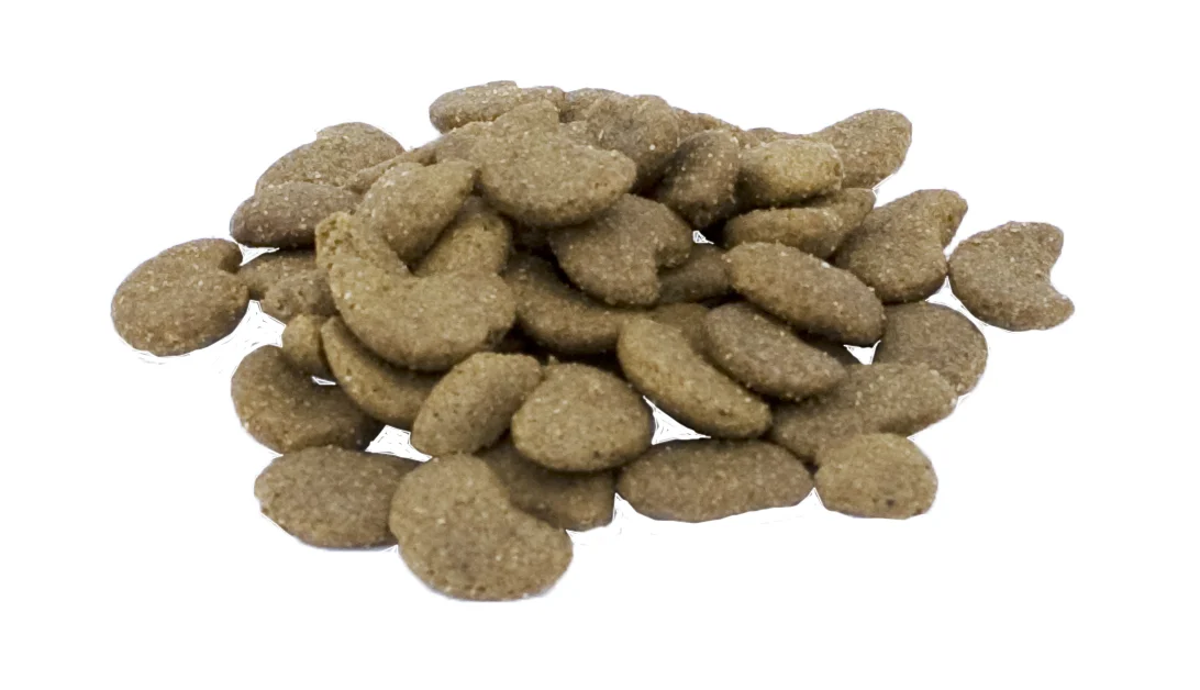 Complément alimentaire pour chat en croquettes avec prébiotiques, 60 g – Excellent Pets Cat Parex – Image 2