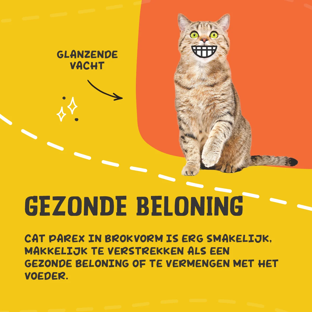Complément alimentaire pour chat en croquettes avec prébiotiques, 60 g – Excellent Pets Cat Parex – Image 6