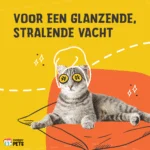 Complément alimentaire pour chat en croquettes avec prébiotiques, 60 g – Excellent Pets Cat Parex – Image 3