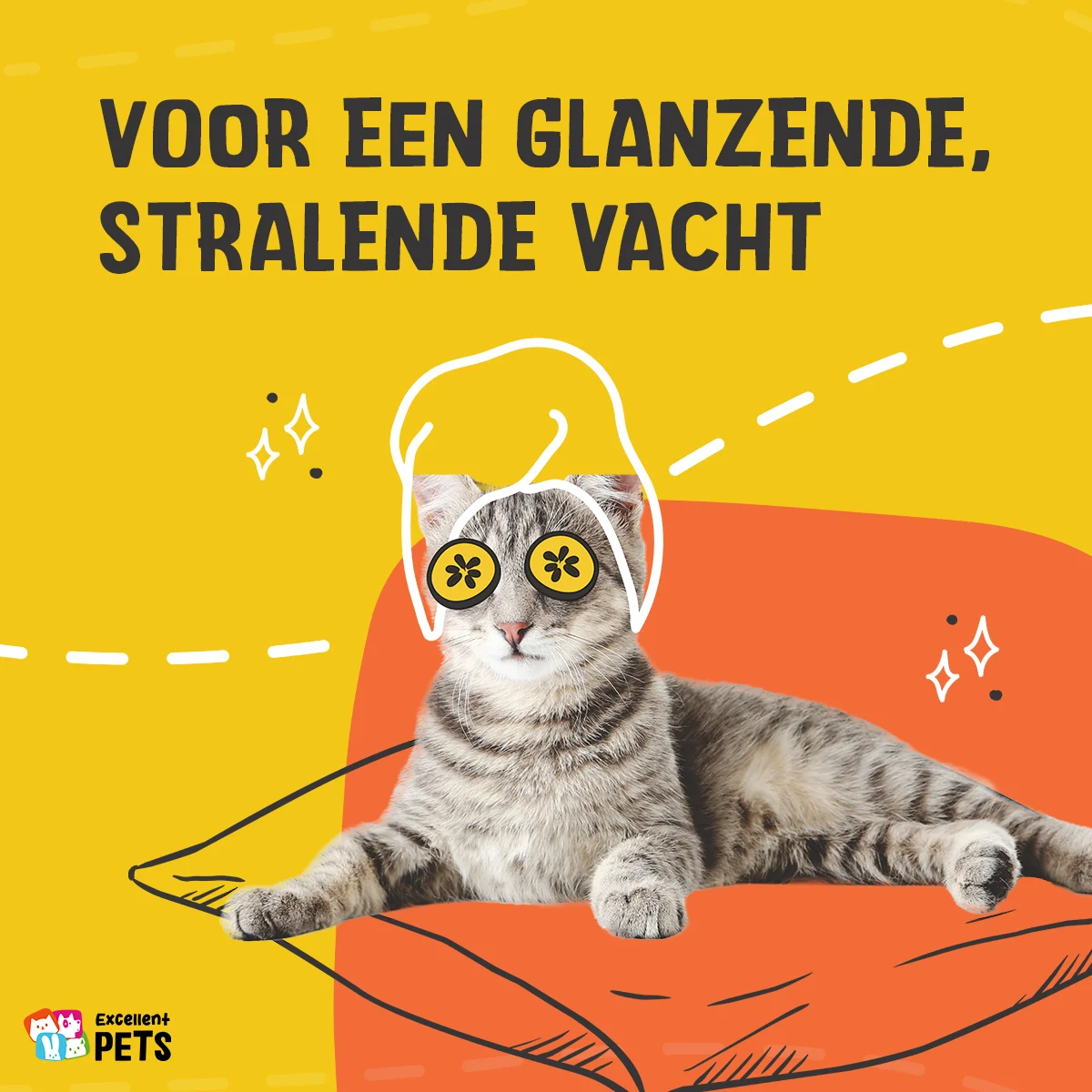 Complément alimentaire pour chat en croquettes avec prébiotiques, 60 g – Excellent Pets Cat Parex – Image 3