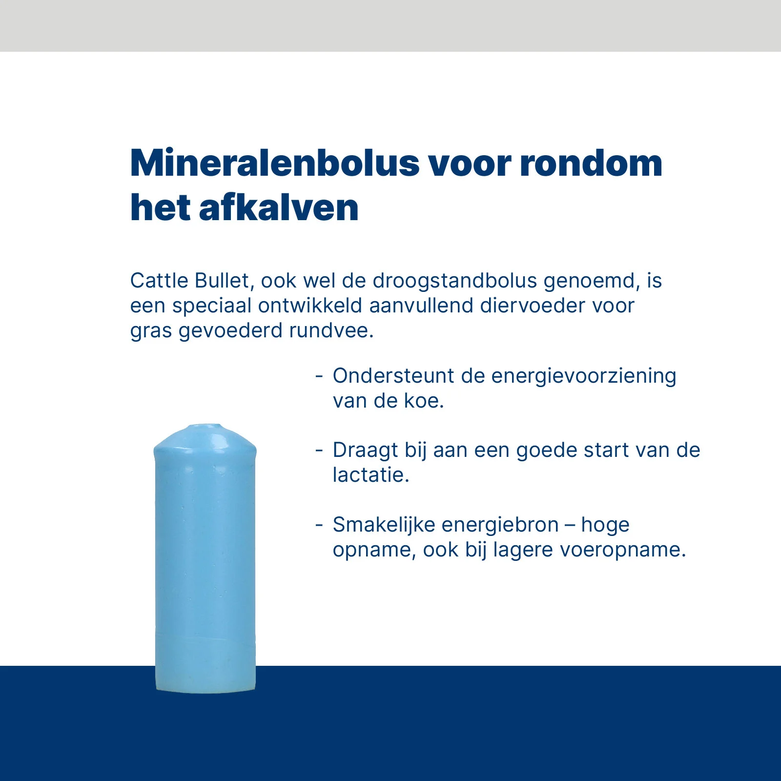 Bolus minéral pour bovins nourris à l’herbe autour du vêlage, 20 pièces – Excellent Cattle Bullet – Image 3
