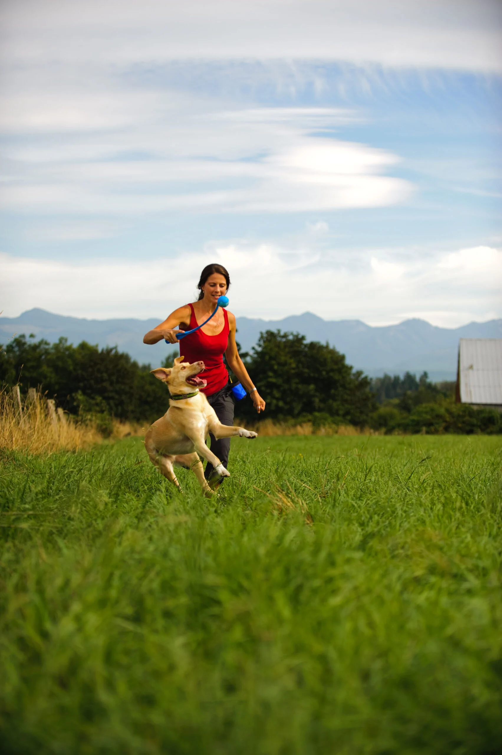 Balles pour chien avec sifflement S, ø 5 cm, 2 pièces – Chuckit! The Whistler – Image 3