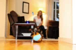 Jouet d’intérieur pour chien avec boucle, 11,5 x 13 x 20 cm – Chuckit! Indoor Shaker – Image 5