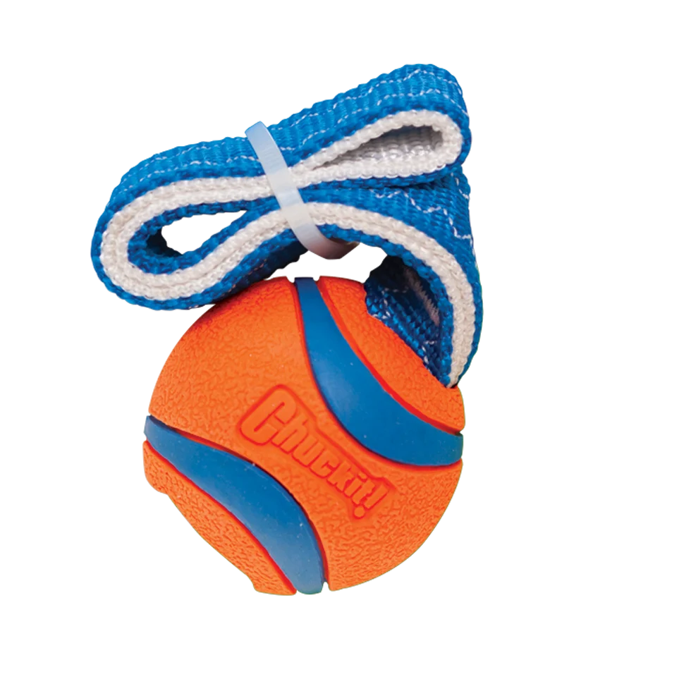 Jouet de traction pour chien avec balle de tennis et ruban, ø 5 cm – Chuckit! Ultra Tug S – Image 2