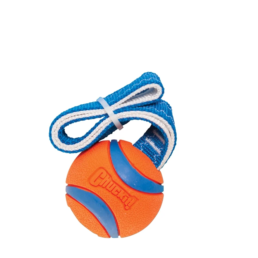 Jouet de traction pour chien avec balle de tennis et ruban, ø 6 cm – Chuckit! Ultra Tug M – Image 2