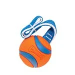 Jouet de traction pour chien avec balle de tennis et ruban, ø 7 cm – Chuckit! Ultra Tug L – Image 3