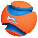Ballon de football pour chien avec encoches en caoutchouc, Ø 19 cm – Chuckit! Kick Fetch Dog L – Image 4