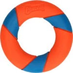 Anneau à rapporter aux rebonds imprévisibles, 12,5 cm – Chuckit! UltraRing – Image 2