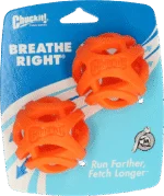 Balle pour chien à rapporter, flottante, Ø 6 cm, 2 pièces – Chuckit! Air Fetch Ball