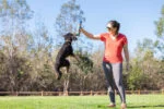 Balles pour chien parfumées au bacon et au beurre de cacahuète, 4 pièces – Chuckit! Sniff Fetch Ball Bacon & Peanut Butter M – Image 4
