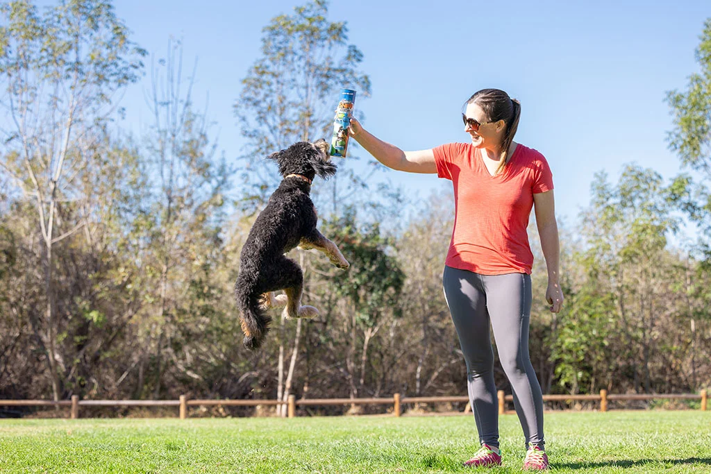 Balles pour chien parfumées au bacon et au beurre de cacahuète, 4 pièces – Chuckit! Sniff Fetch Ball Bacon & Peanut Butter M – Image 4