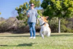 Balles pour chien parfumées au bacon et au beurre de cacahuète, 4 pièces – Chuckit! Sniff Fetch Ball Bacon & Peanut Butter M – Image 5