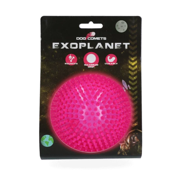 Balle pour chien à picots avec couineur, L 10,5 cm, rose – Dog Comets Exoplanet