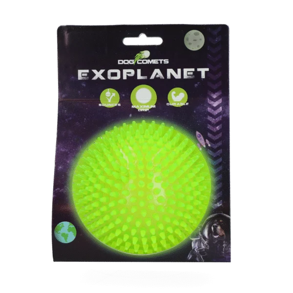Balle hérisson pour chien avec couineur, verte, L, 10,5 cm – Dog Comets Exoplanet
