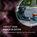 Balles en caoutchouc pour chien avec seau, 6 pièces M – Dog Comets Meteor Shower – Image 2