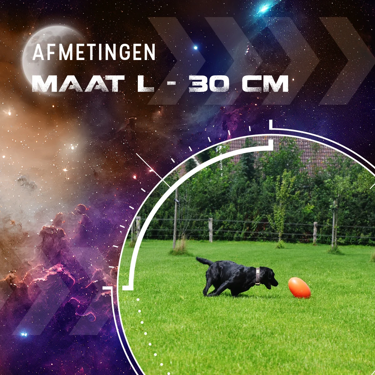 Jouet à rapporter pour chien, flottant, 30 cm, orange – Dog Comets Pan-Stars – Image 3
