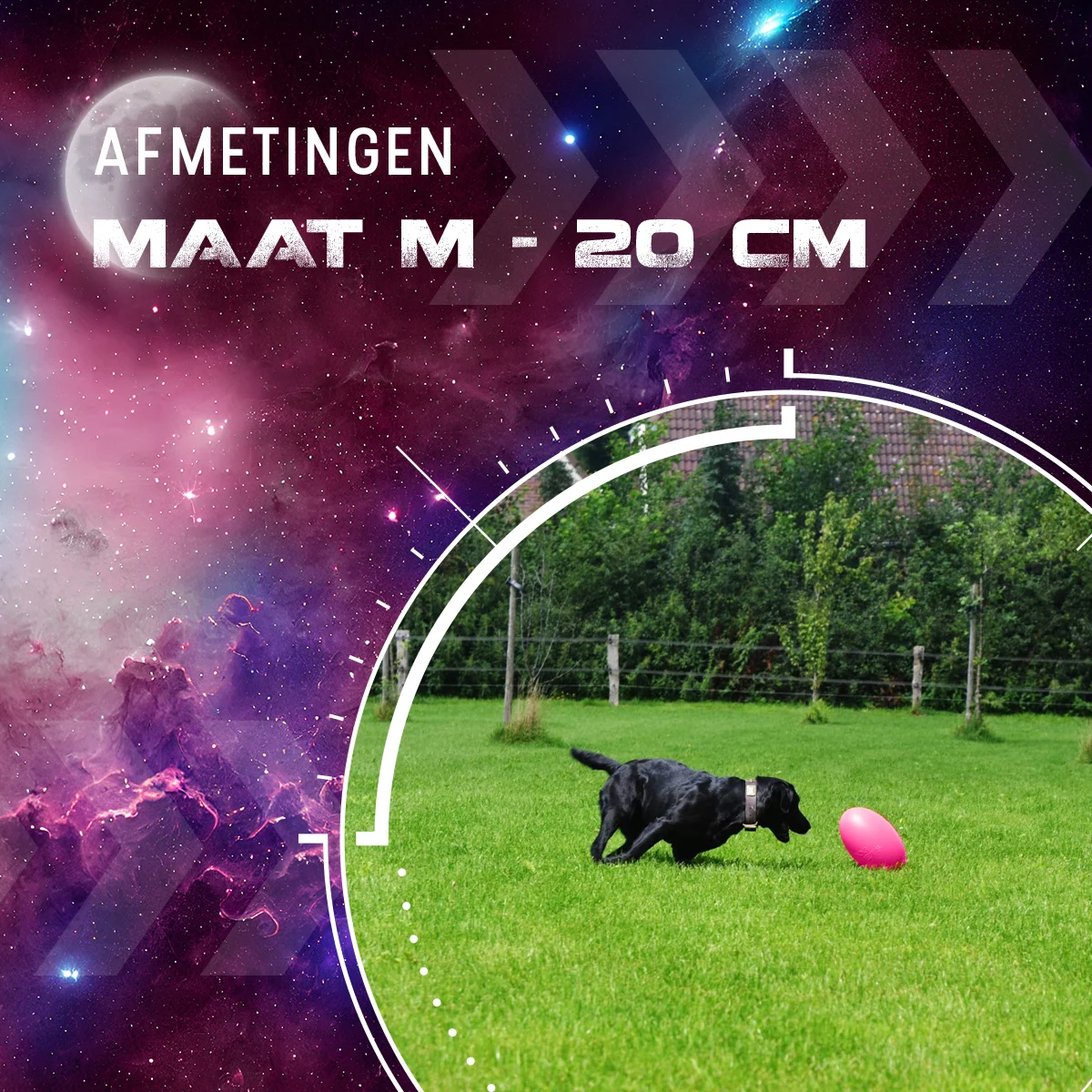 Jouet de lancer pour chien, flottant, 20 cm, rose – Dog Comets Pan-Stars – Image 3