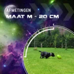 Jouet à rapporter pour chien, flottant, 20 cm, vert – Dog Comets Pan-Stars – Image 3