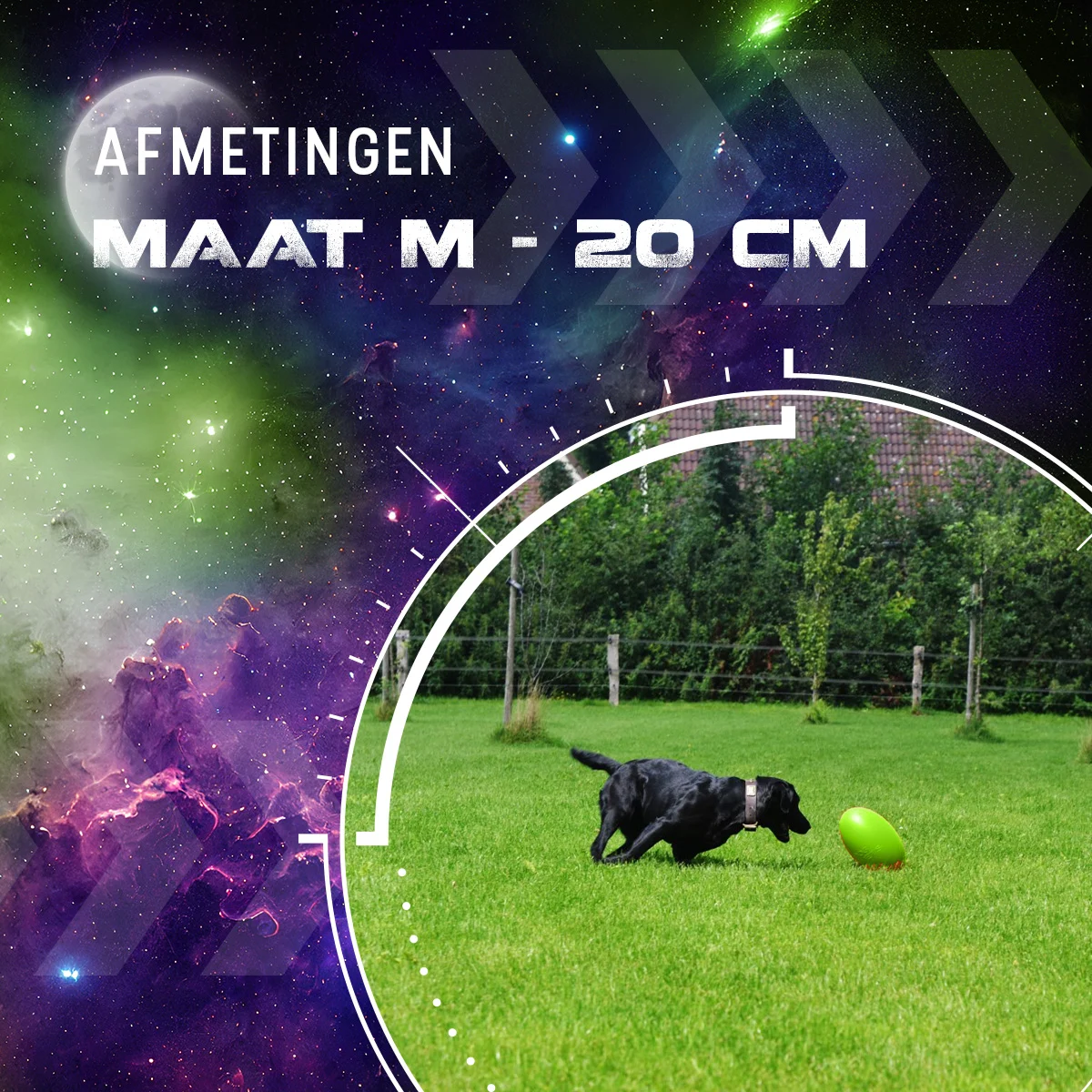 Jouet à rapporter pour chien, flottant, 20 cm, vert – Dog Comets Pan-Stars – Image 3