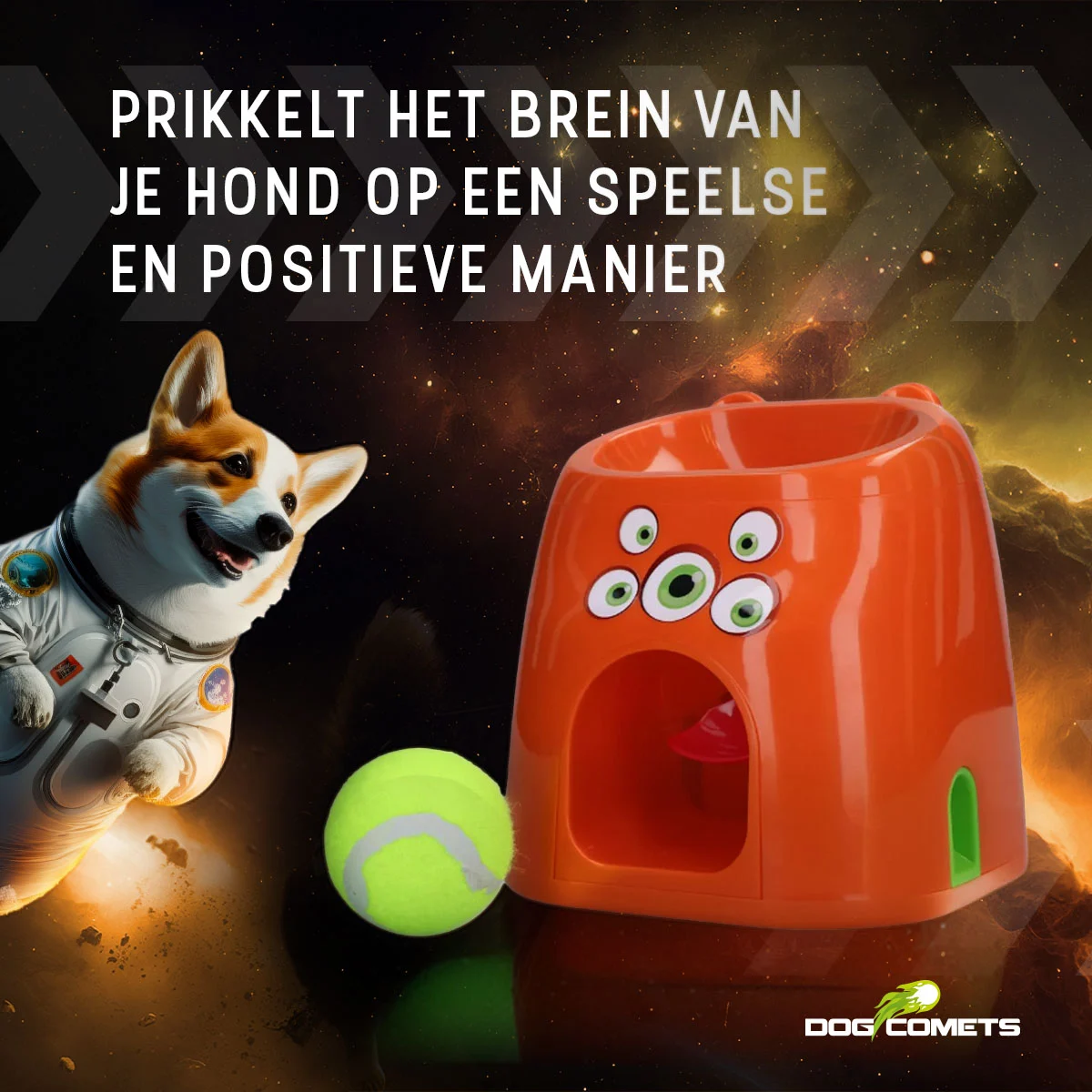 Jeu de rapport avec récompense, 1 balle de tennis incluse – Dog Comets D1spencer Fetch and Treat – Image 6
