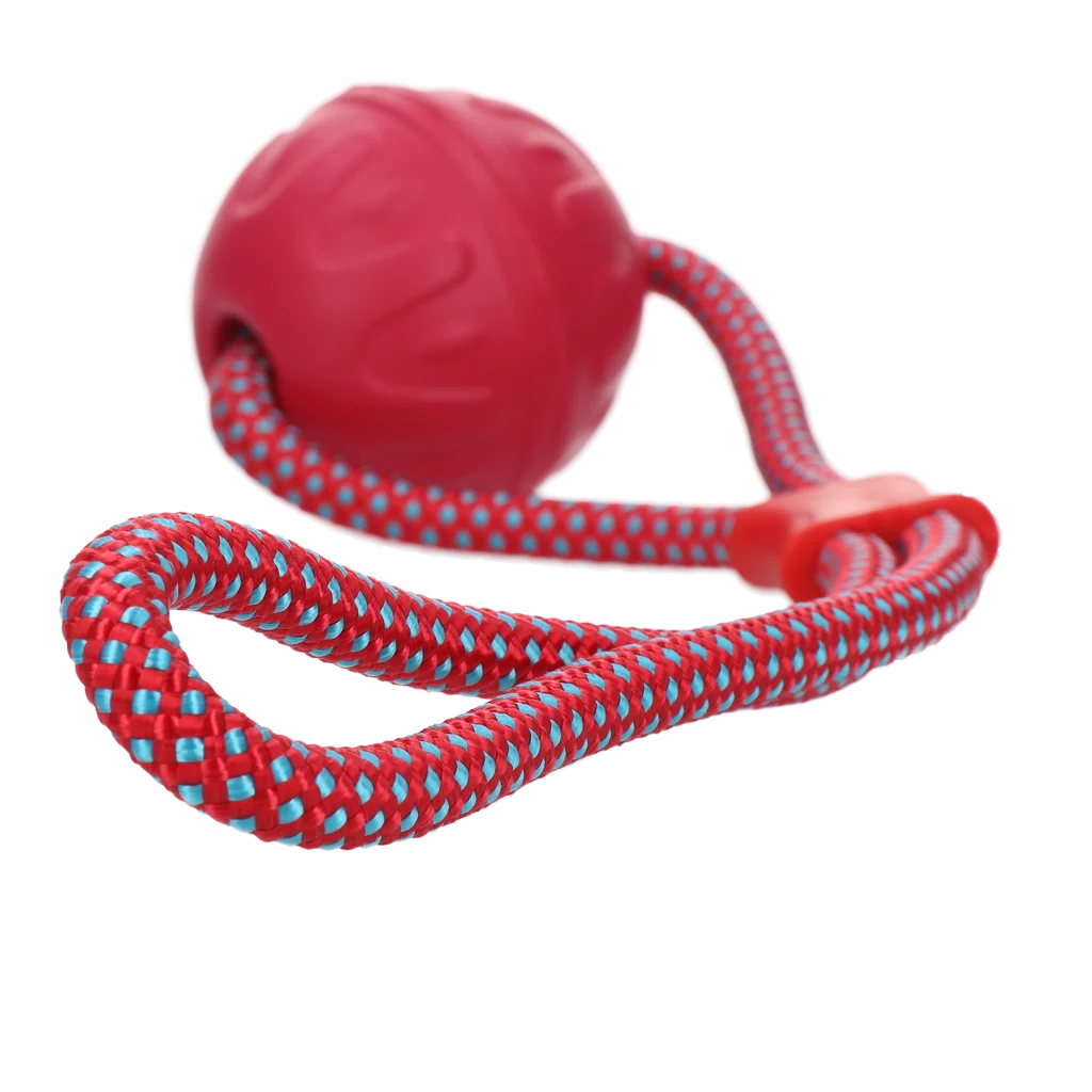 Balle pour chien avec corde réfléchissante, flottante, rose – Dog Comets Vortex Loop – Image 2