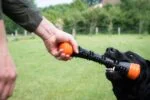Jouet à lancer en caoutchouc avec couineur, L 32 cm, orange – Dog Comets Meteor – Image 3