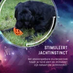 Balle à friandises en caoutchouc avec couineur, orange – Dog Comets Moonstone – Image 6