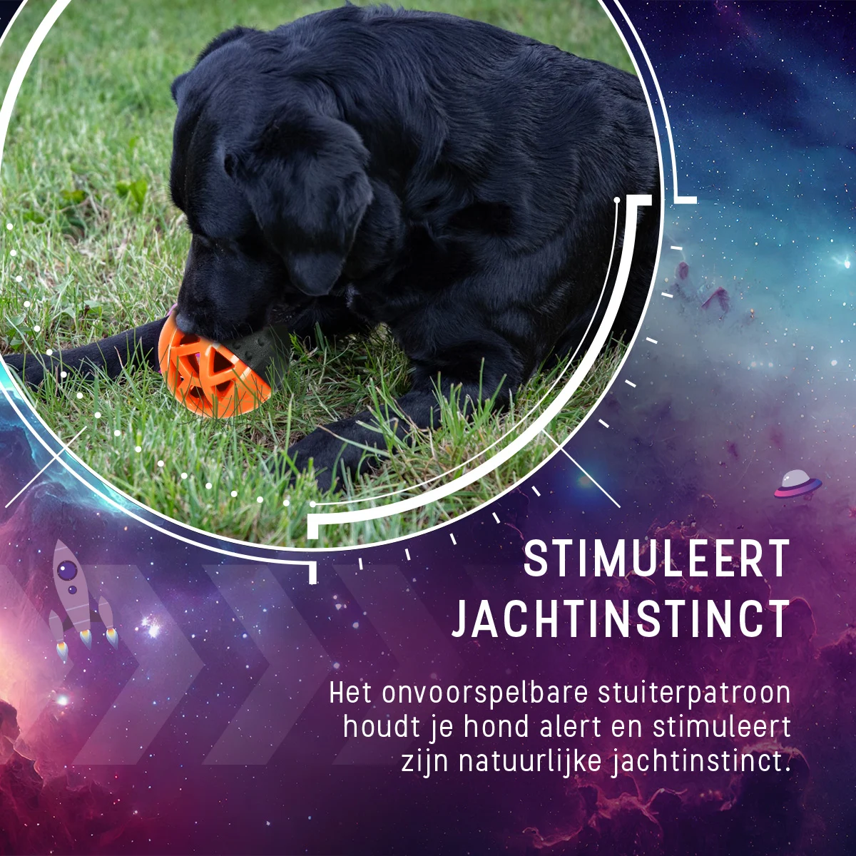 Balle à friandises en caoutchouc avec couineur, orange – Dog Comets Moonstone – Image 6