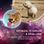 Balle de tennis pour chien flottante, rose, S, Ø 5 cm – Dog Comets Starlight – Image 4