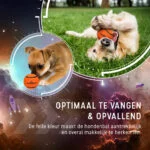 Balle de tennis pour chien flottante, orange S, Ø 5 cm – Dog Comets Starlight – Image 4