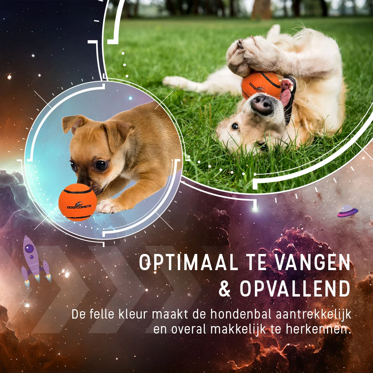 Balle de tennis pour chien, flottante, orange S, Ø 5 cm, 3 pièces – Dog Comets Starlight – Image 4