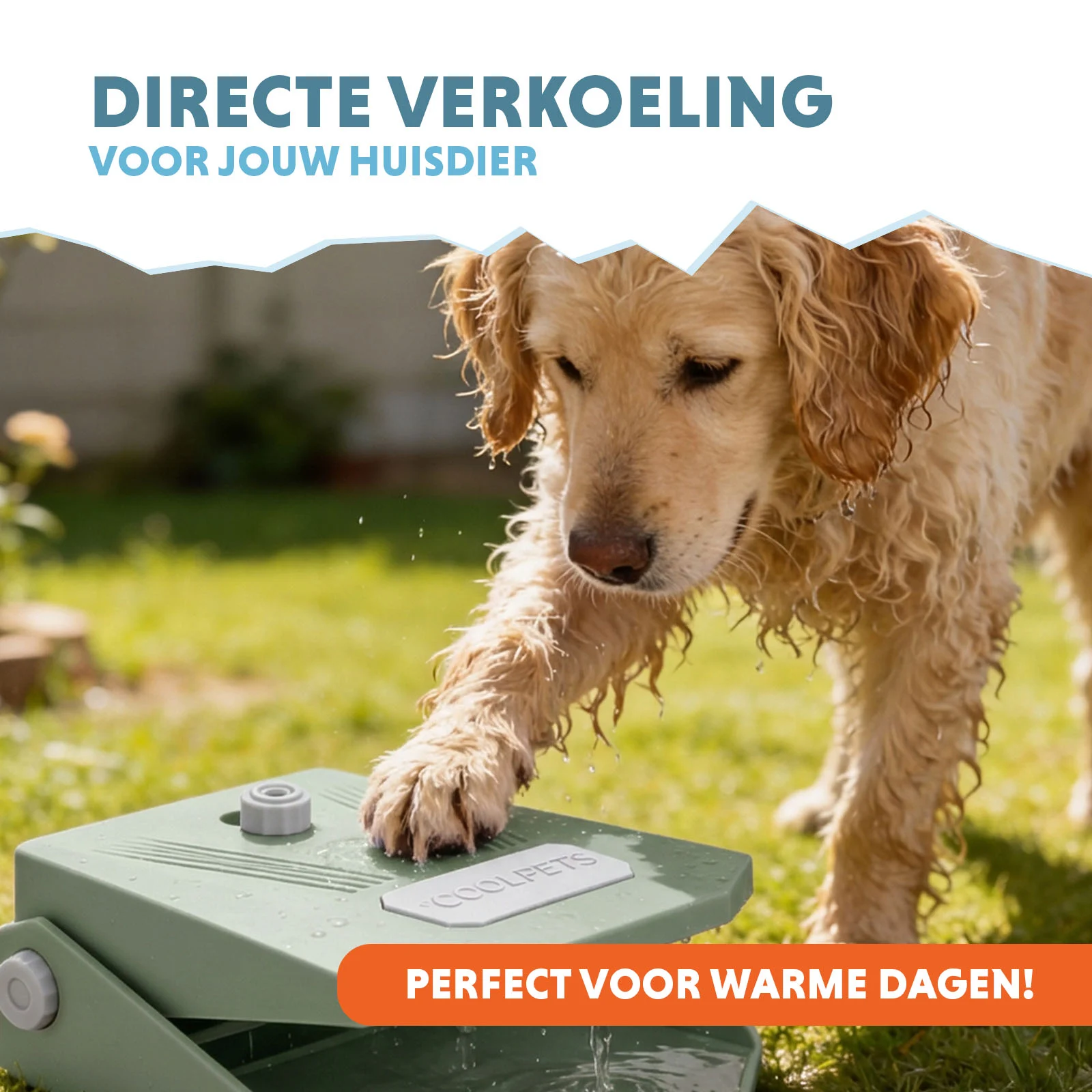 Fontaine à eau avec pédale et raccordement au tuyau d’arrosage, vert olive – Coolpets Splash Water Fountain – Image 2