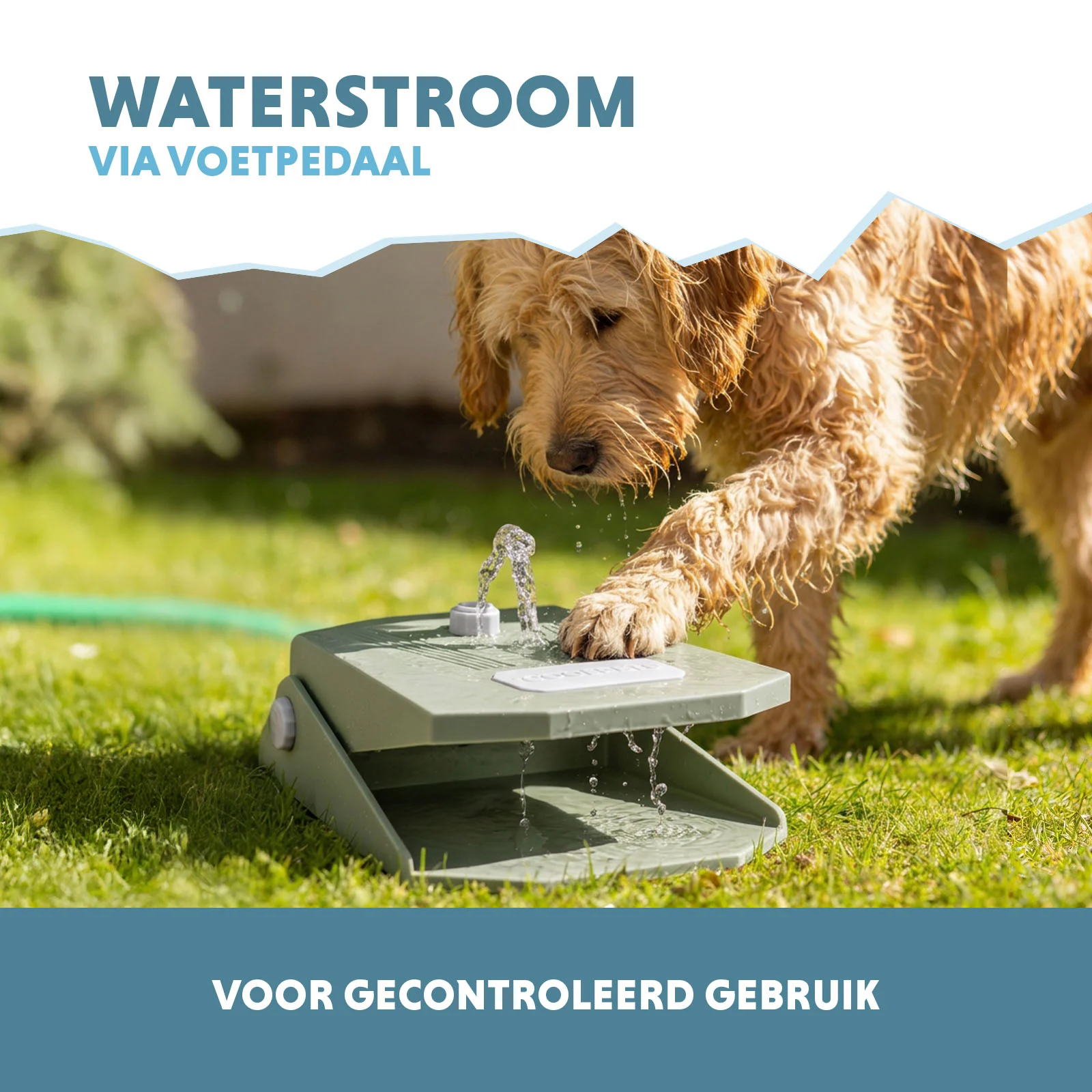 Fontaine à eau avec pédale et raccordement au tuyau d’arrosage, vert olive – Coolpets Splash Water Fountain – Image 4