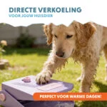 Fontaine à eau avec pédale et raccord pour tuyau d’arrosage, lilas – Coolpets Splash Water Fountain – Image 2