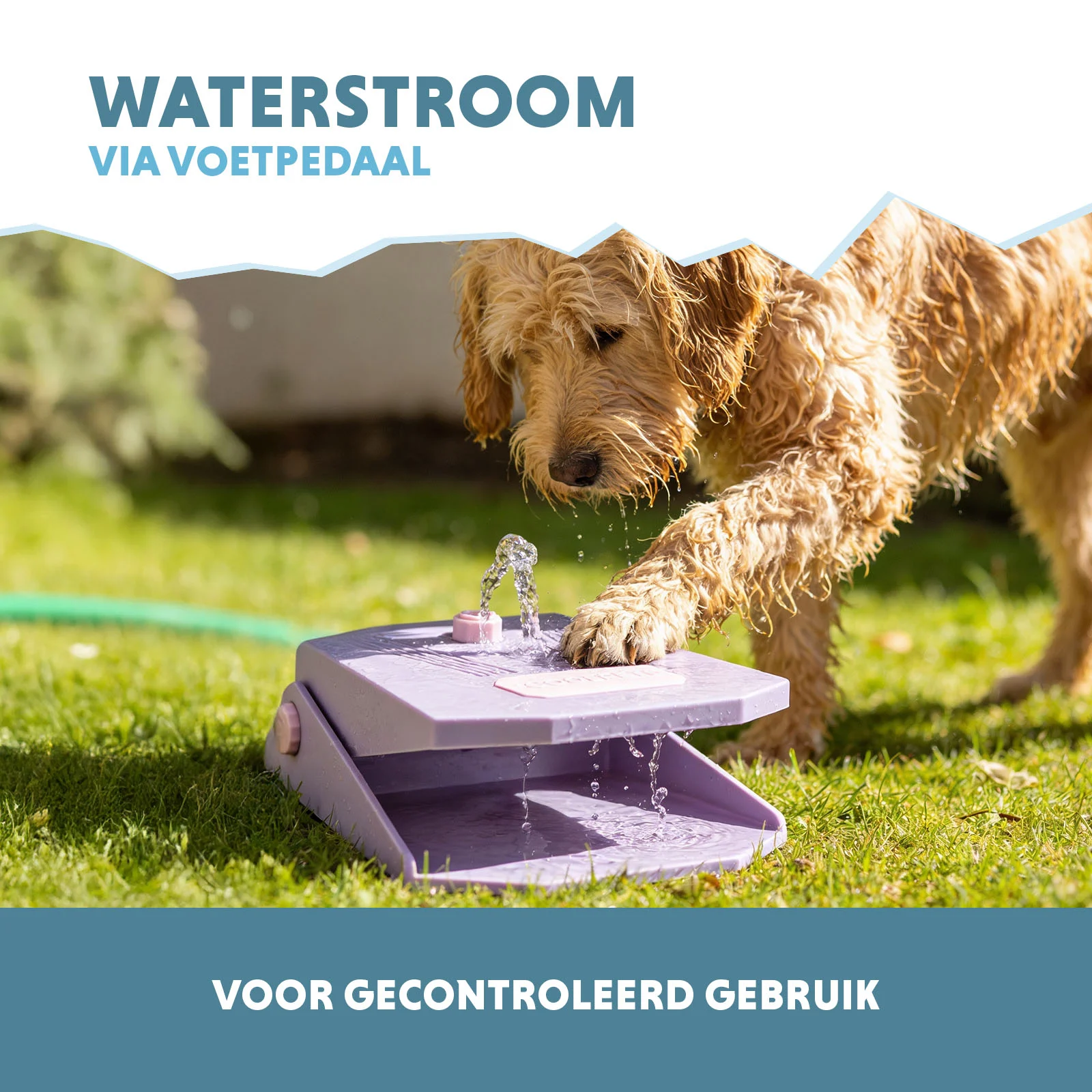 Fontaine à eau avec pédale et raccord pour tuyau d’arrosage, lilas – Coolpets Splash Water Fountain – Image 4