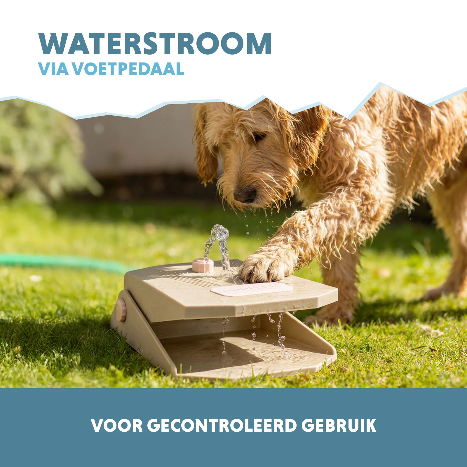 Fontaine à eau avec pédale et raccord pour tuyau d’arrosage, beige – Coolpets Splash Water Fountain – Image 4