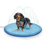 Tapis arroseur pour chiens avec raccord pour tuyau d’arrosage, S 100 cm – Coolpets Splash Sprinkler Pad