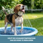 Tapis arroseur pour chiens avec raccord pour tuyau d’arrosage, S 100 cm – Coolpets Splash Sprinkler Pad – Image 6