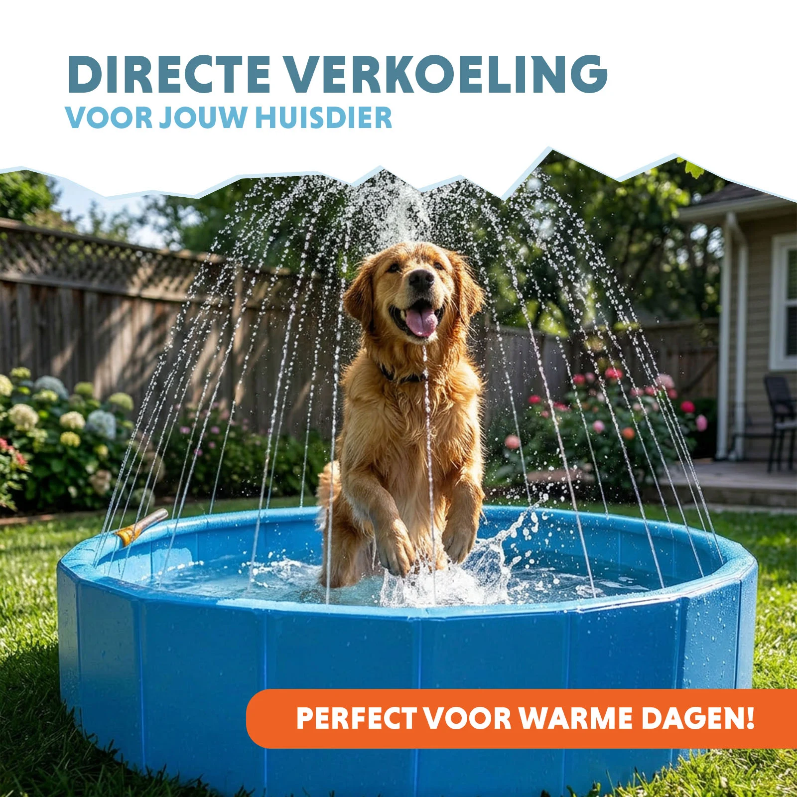 Piscine pour chien avec arroseurs, diamètre 120 cm, hauteur des parois 30 cm – Coolpets Splash Sprinkler Pool – Image 2