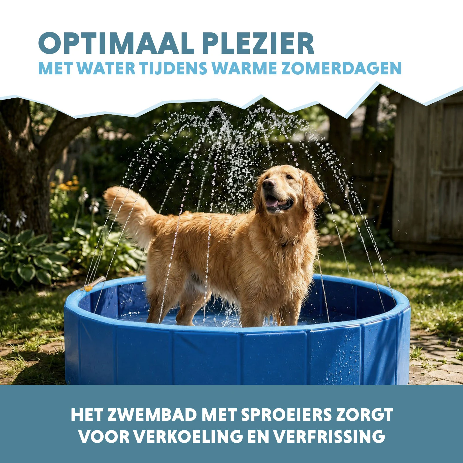 Piscine pour chien avec arroseurs, diamètre 120 cm, hauteur des parois 30 cm – Coolpets Splash Sprinkler Pool – Image 4