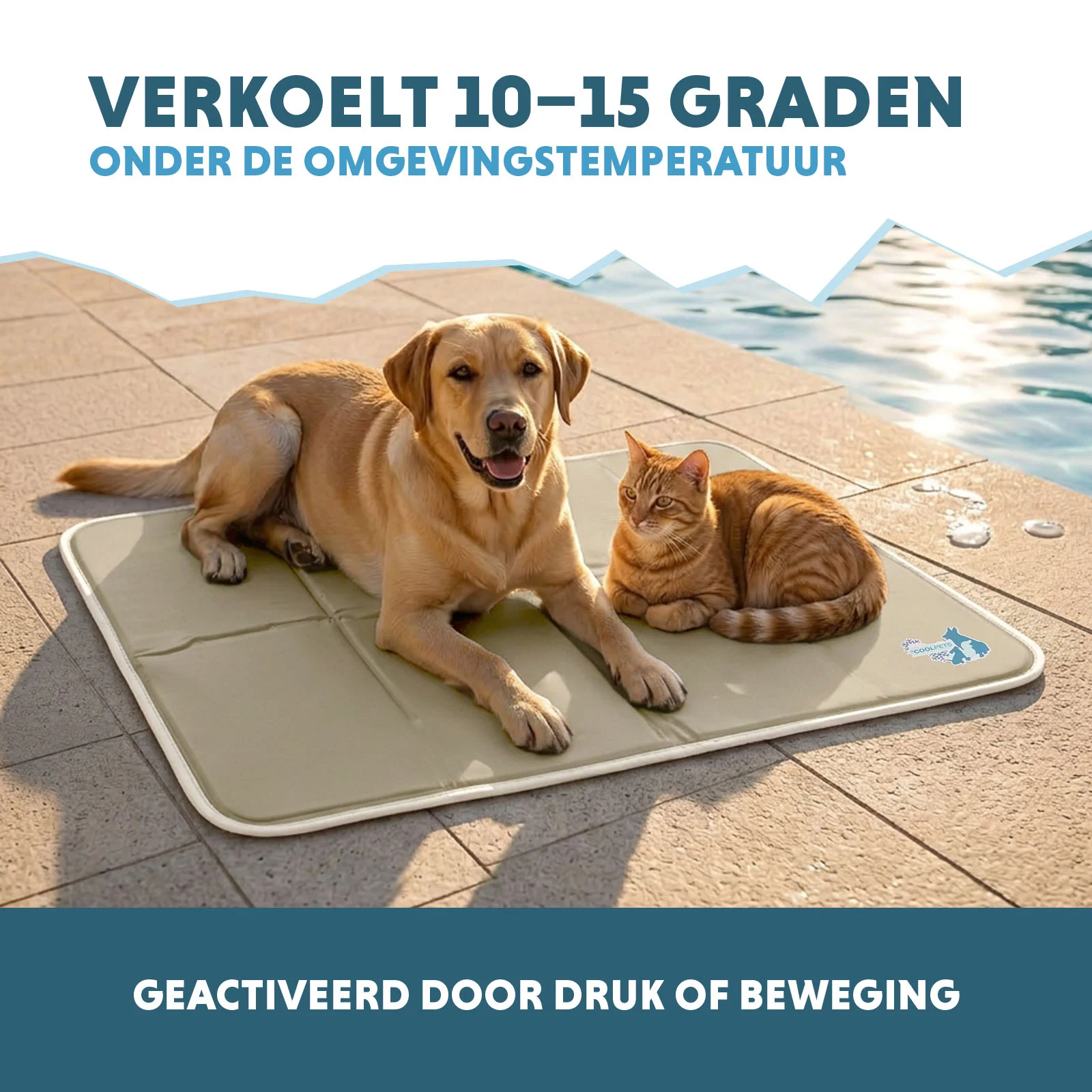 Tapis rafraîchissant pour chiens à gel solide, beige, L, 90 x 60 cm – Coolpets Gel Cooling Mat – Image 4
