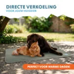 Tapis rafraîchissant pour chien à gel solide, vert olive, L 90 x 60 cm – Coolpets Gel Cooling Mat – Image 2