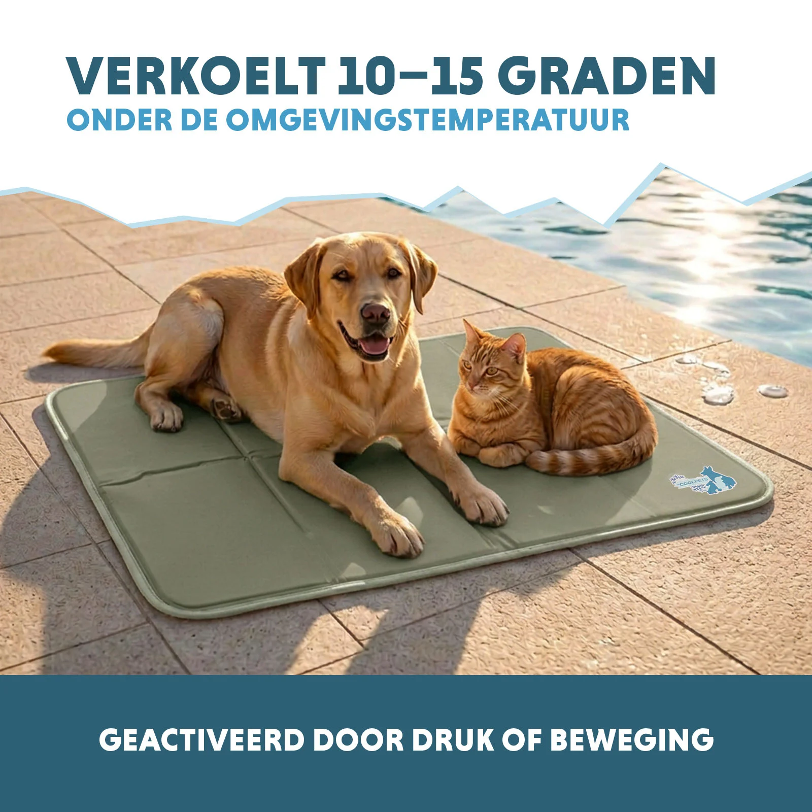 Tapis rafraîchissant pour chien à gel solide, vert olive, L 90 x 60 cm – Coolpets Gel Cooling Mat – Image 4